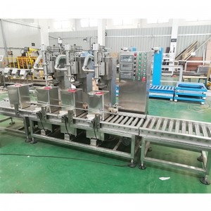 16L香蕉水灌裝機 蠕動(dòng)泵式 小型液體灌裝機