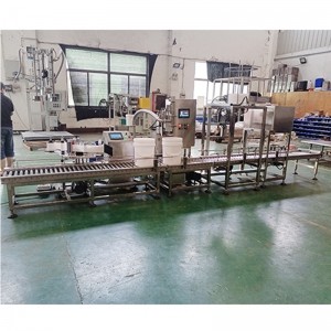 10L桶裝包裝機 食品添加劑包裝機自動(dòng)灌裝生產(chǎn)線(xiàn)