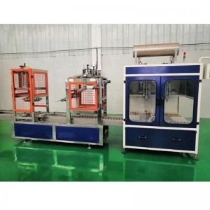 16L全自動(dòng)包裝機 液體肥料包裝機廠(chǎng)家