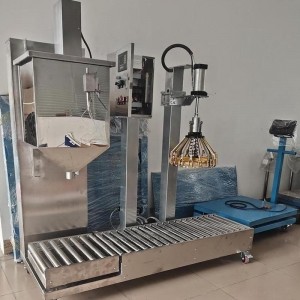 20KG定量稱(chēng)重包裝機 原子灰包裝機