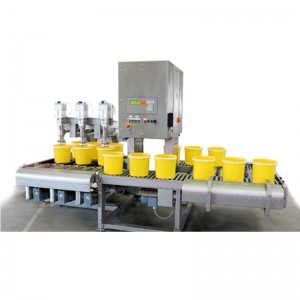 30L稱(chēng)重3頭灌裝機 DF-30T系列