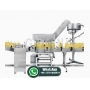 Fully Automatic Multi-Head Resin Metering and Filling Machine for 1-10L